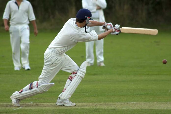 DLA-Piper-in-cricket-victory