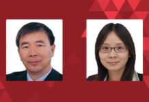 外国玩具知识产权保护初探 王亚东和李敏, 润明律师事务所