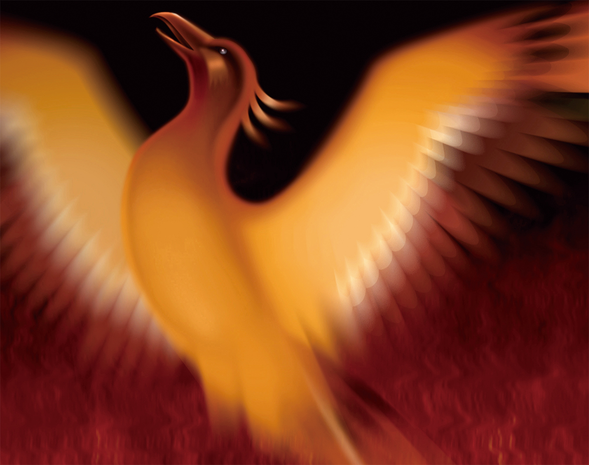 Post Header Image