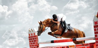 A tight rein: In-house counsel predictions for Year of the Horse 