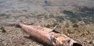 Environmental enforcement actions clamp down on polluters, 加强环境执法打击污染企业