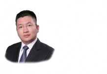 Asset securitization and the PPP model