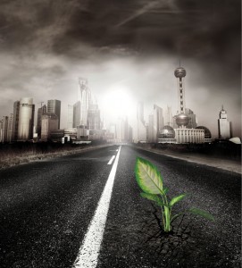 New environmental insurance measures, emission limits, 环境责任保险和排放限值新规定