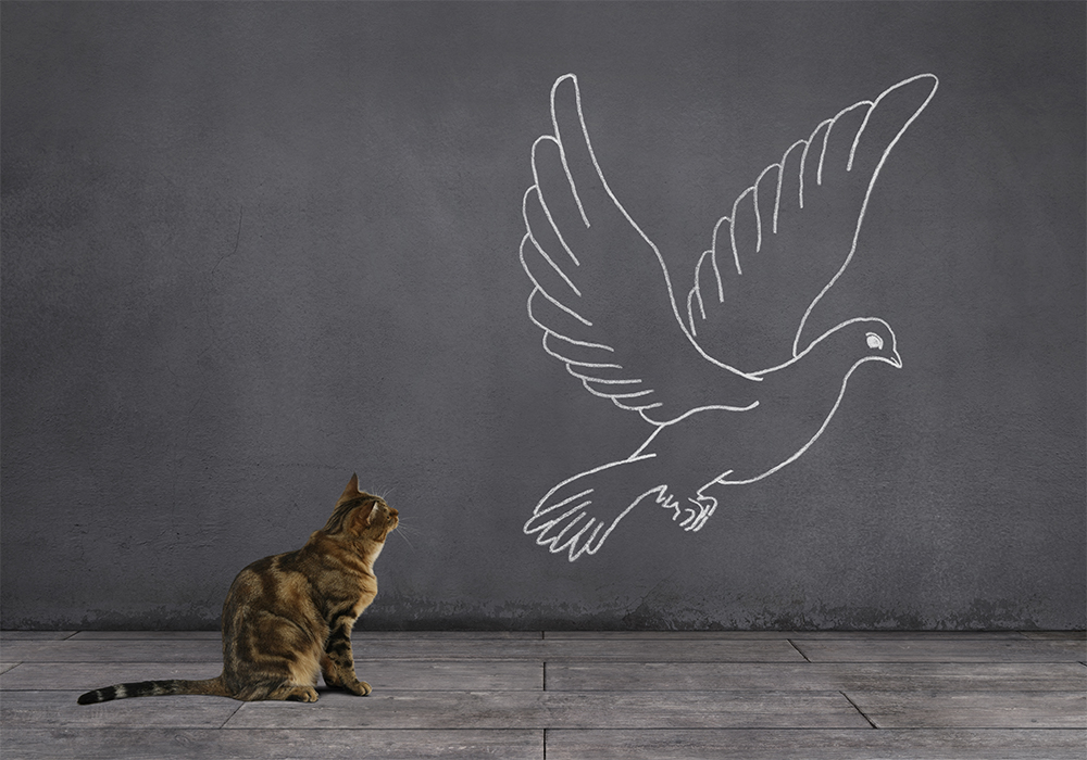 Post Header Image