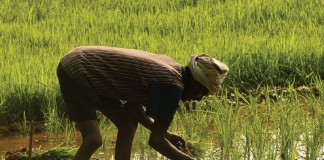 Yara takes Tata Chemicals’ urea business Famer