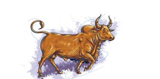 Bull run? India-Capital-market-lawyers