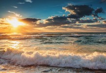 新潮流 offshore-lawyers-and-law-firms