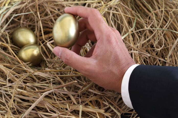 gold-nest-investment-diversification multi cap investment diversification