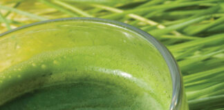 Registration of health food products improved | China Business Law