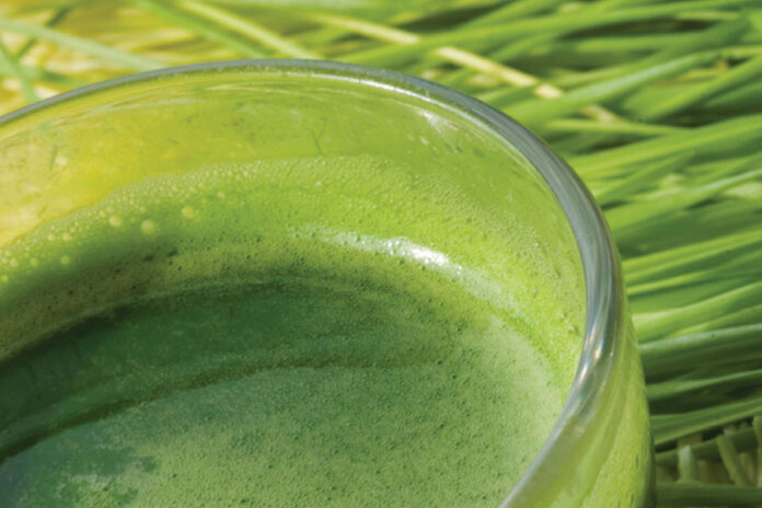registration Registration of health food products improved | China Business Law