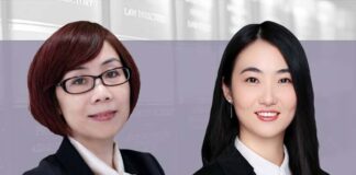 Investment and M&A modes in the senior care industry Investment and M&A modes in the senior care industry, 养老产业投资并购模式简析, Cindy Hu and Yang Jiaxin, East & Concord Partners