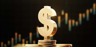 IBC and exclusions from committee of creditors IBC and exclusions from committee of creditors
