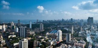 Link, Wadia advise on Probus investment Link, Wadia advise on Probus investment