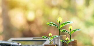 Skadden green bond deal Skadden-green-bond-deal