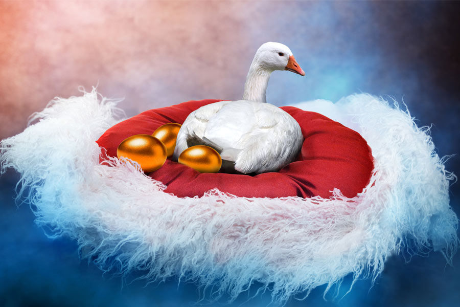 Post Header Image