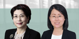投资越南新能源市场准入与鼓励政策，王霁虹，刘瑛