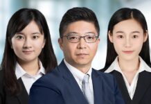 아시아 3국 사이버 보안 규정: 중국, Vincent Wang, Zhao Xinyao, Estella Wang