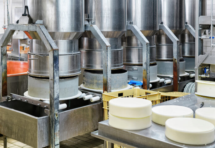 Young Gruyere Comte Cheese pressed in special forms in dairy Khaitan advised Britannia Industries