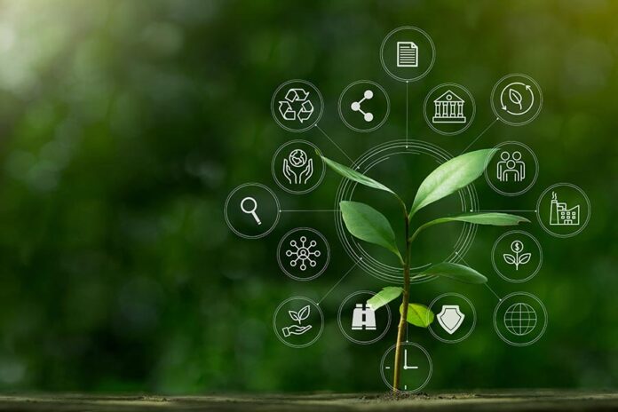 Law firm consultant Grey Matter helps clients go green Grey Matter Green Impact Group initiative