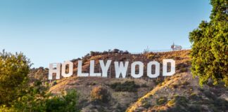 Hollywood turns to Mysore for legal advice Hollywood Indian legal advice