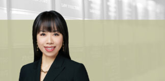 Mariana Zhong, Hui Zhong Law Firm