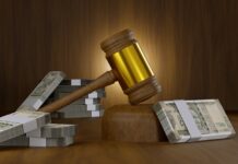 frivolous public interest litigations