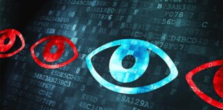 auditors to exercise vigilance