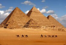 Five firms assist on Egypt issuing Africa’s first panda bond Four firms assist on Egypt issuing Africa’s first panda bond