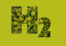 The green scheme