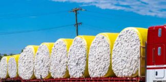International Cotton Association Arbitration