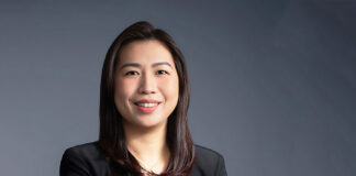 Mayer Brown lands Norton Rose Fulbright banking partner Mayer Brown hires Janelene Chen