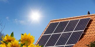 Carbon financial products' future