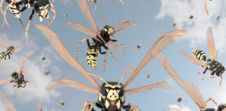 swarming-IBLJ