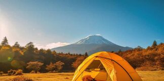 TMI Associates acts on Bain Capital-led JPY34bn tender offer TMI-Associates-acts-on-Bain-Capital-led-JPY34bn-tender-offer-L
