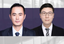 DSO criminal compliance obligations