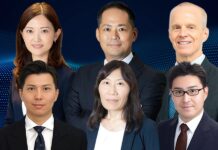 AI regulation for businesses in Japan