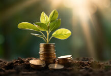 Four firms guide Indonesia’s USD2.35bn global sukuk issue Indonesia’s global sukuk issue