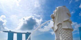 Wintell & Co expands Singapore