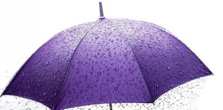 Developments in insurance law Insurance law in India and Japan