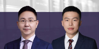 哈萨克斯坦可再生能源投资的主要模式
