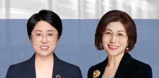 柬埔寨新能源项目开发审批流程
