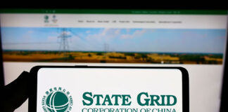 State Grid's dim sum bonds