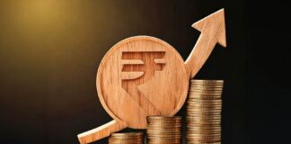 Japanese investment in India
