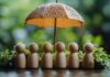 Natural disaster insurance in India
