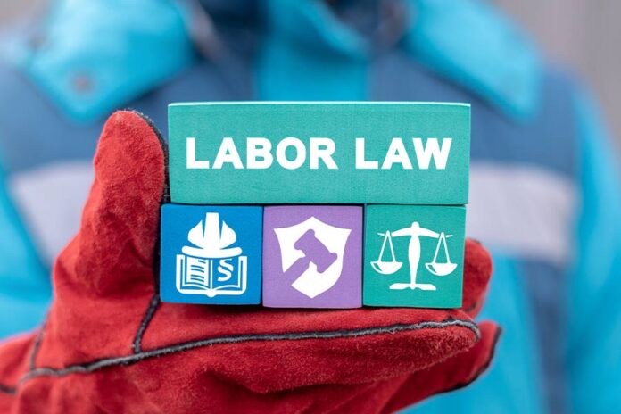 India labour codes 2025