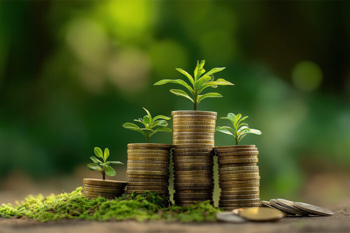 Carbon Coin Issuance