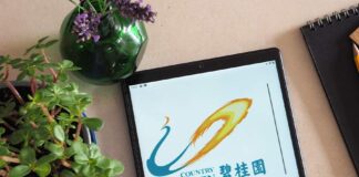 Country Garden’s debt restructuring