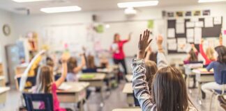 Bright Scholar Education privatisation