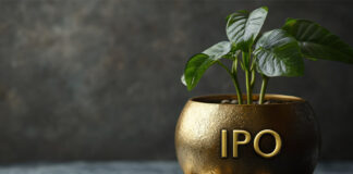 CleanMax IPO