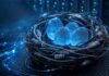 Insurance Cybersecurity Data Protection